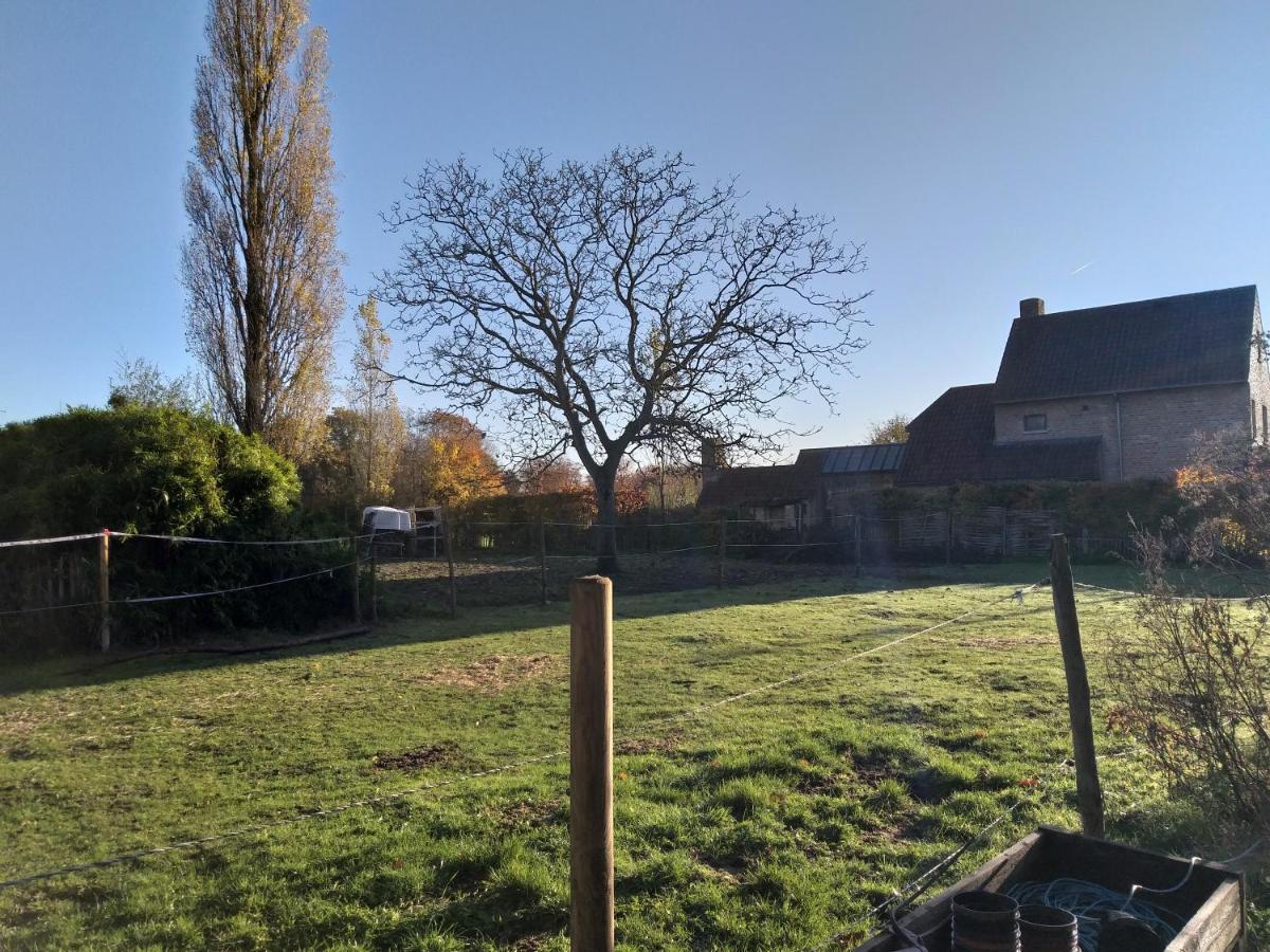Hof Ter Sysen Vila Loppem Exterior foto